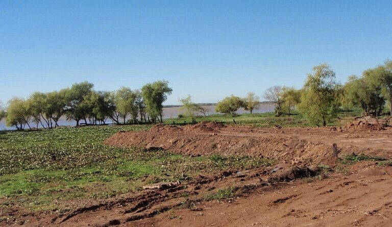 RESTAURACION DEL DAÑO DE ARENERA SOBRE EL TALAR DE BARRANCA EN EL TONELERO