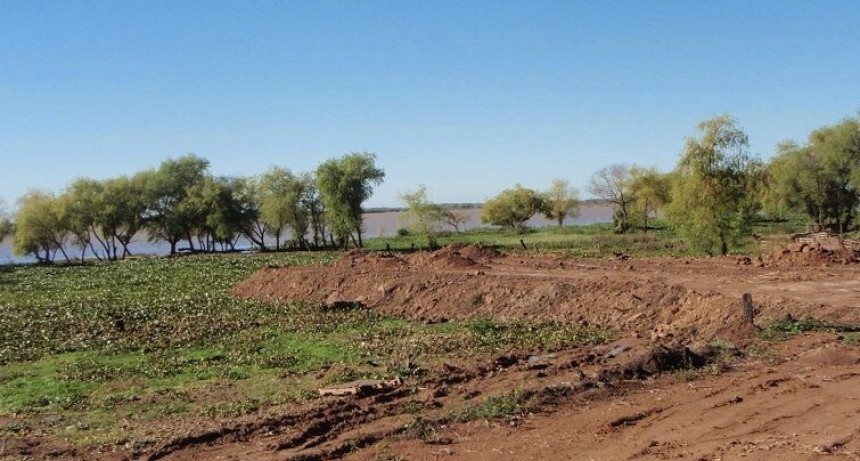 RESTAURACION DEL DAÑO DE ARENERA SOBRE EL TALAR DE BARRANCA EN EL TONELERO